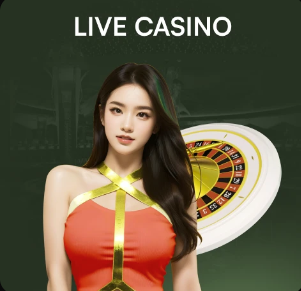 三连扑！禁区内哈弗茨打门、萨卡两次补射，都被特拉福德强势化解